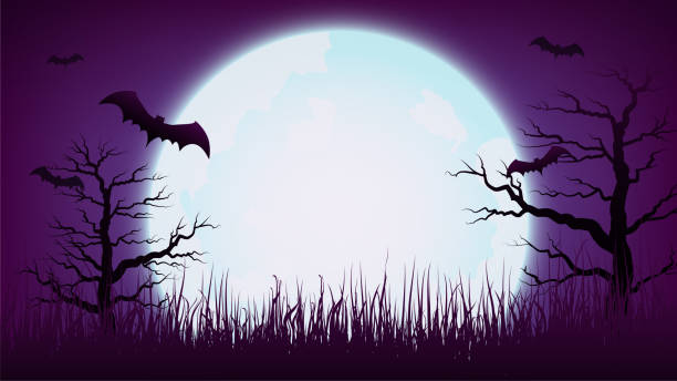 istockphoto-1339748320-612x612